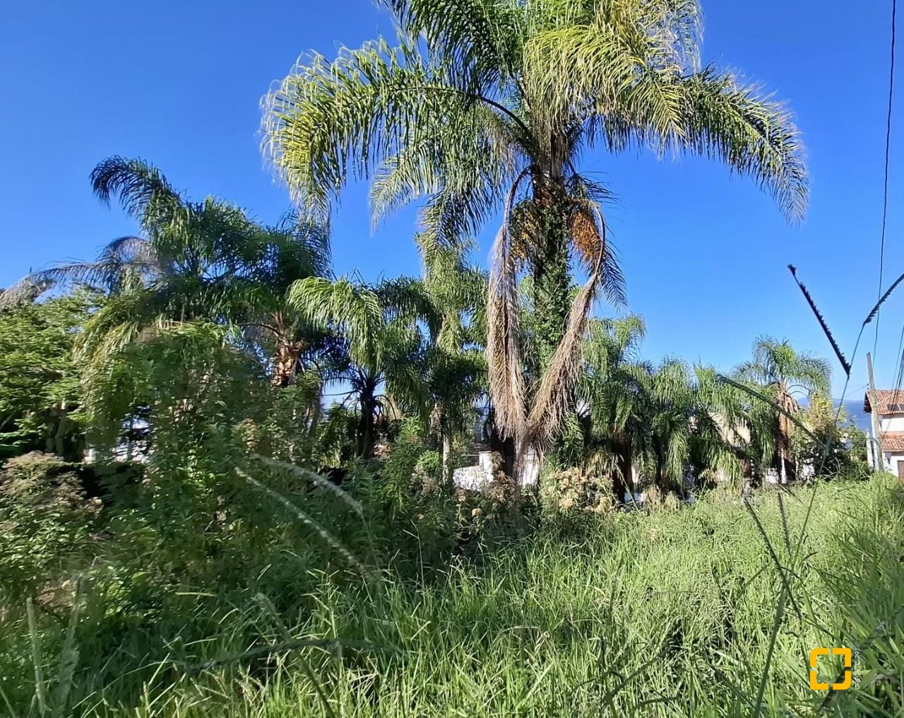Terreno com 4214m², no bairro Ponta de Baixo em São José