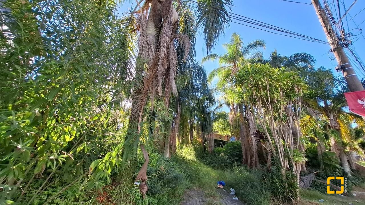 Terreno com 4214m², no bairro Ponta de Baixo em São José