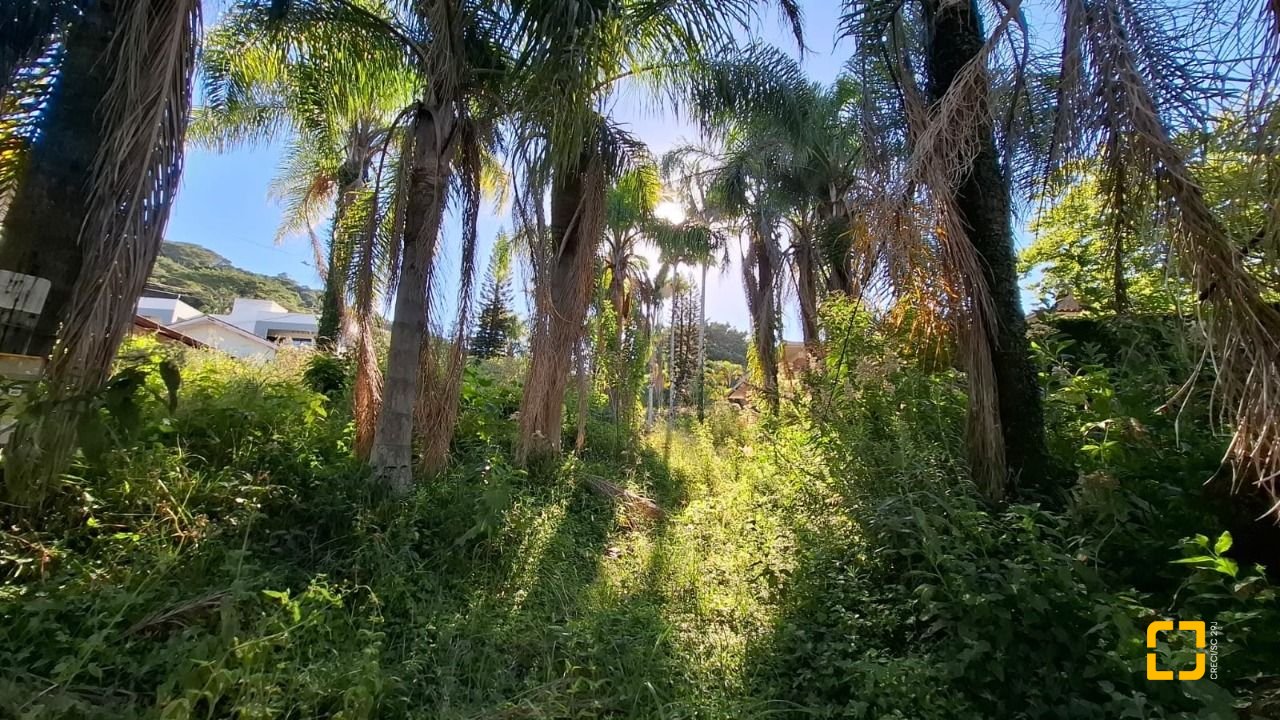 Terreno com 4214m², no bairro Ponta de Baixo em São José