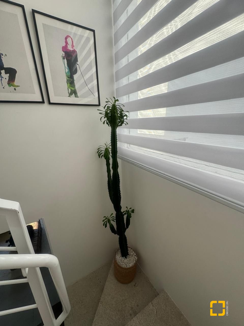 Casa com 207m², 6 quartos (sendo 3 suítes), 2 garagens, no bairro Córrego Grande em Florianópolis