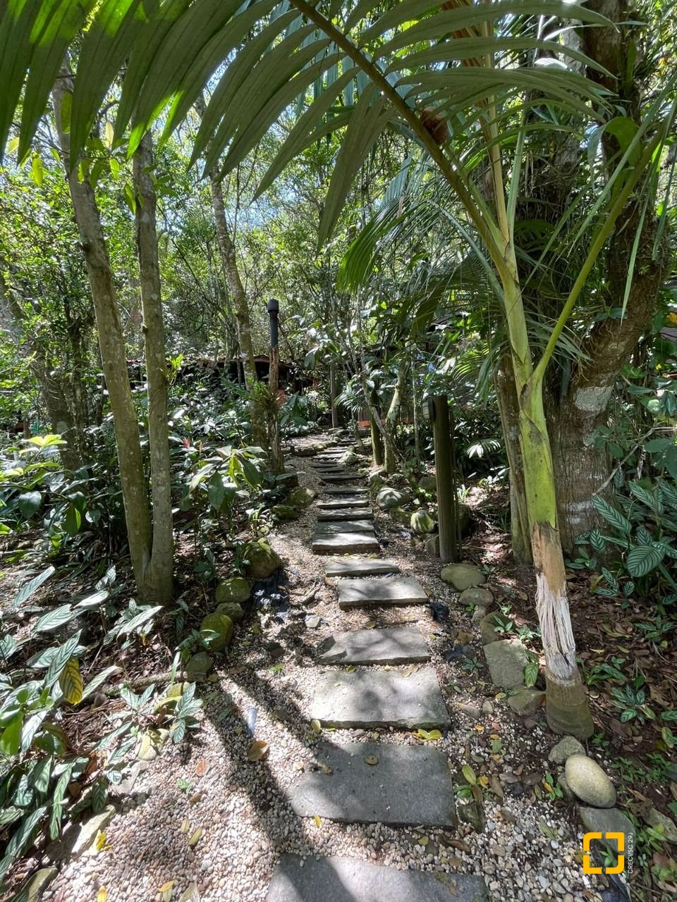 Sítio com 250m², 8 quartos, 2 garagens, no bairro Ratones em Florianópolis