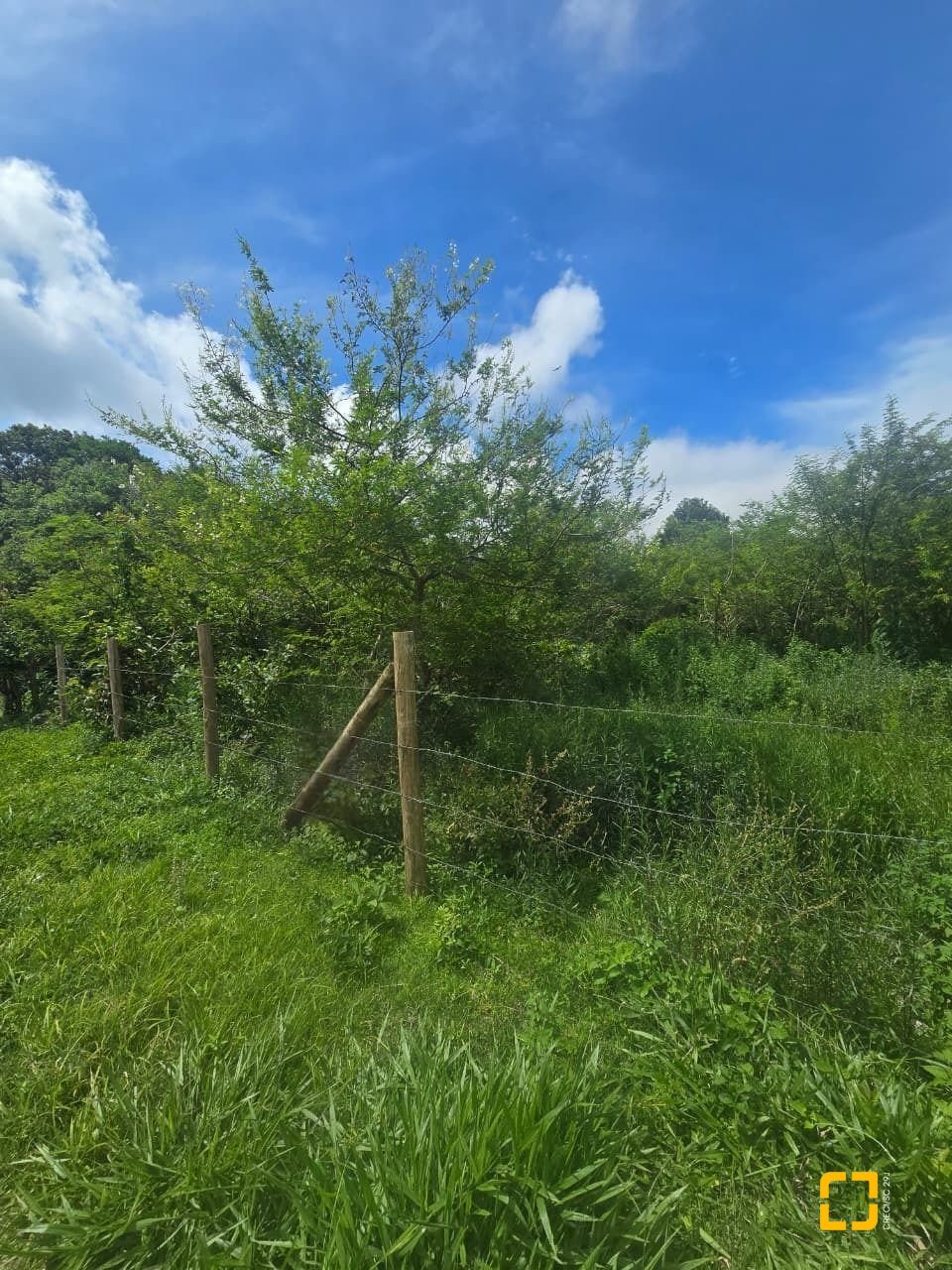 Terreno com 383m², no bairro Pântano do Sul em Florianópolis