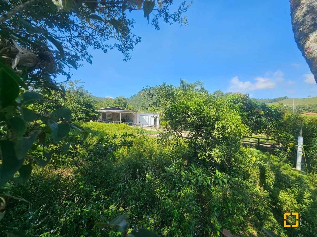 Sítio com 3699m², 2 quartos, no bairro Fazenda em Biguaçu