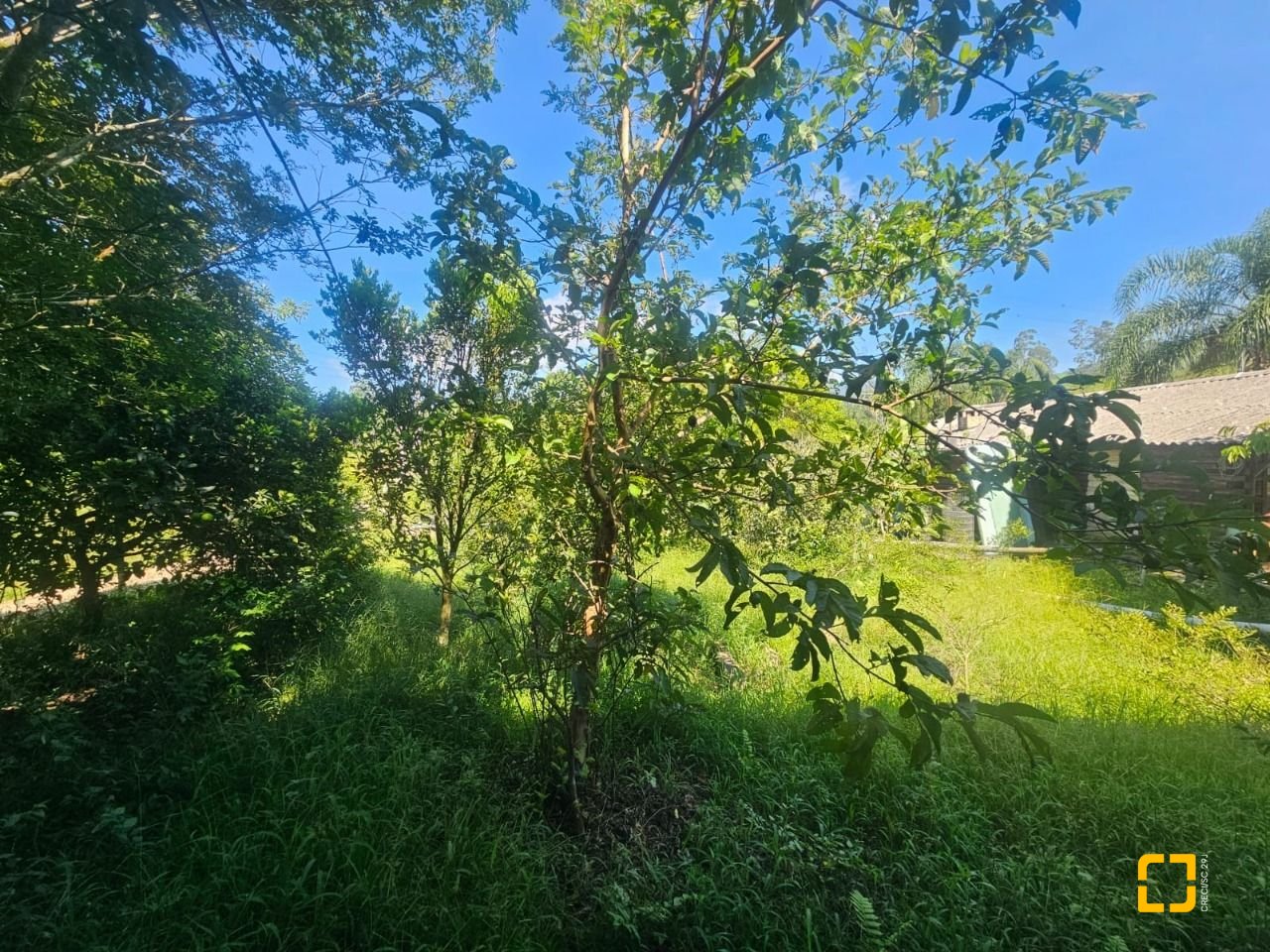 Sítio com 3699m², 2 quartos, no bairro Fazenda em Biguaçu