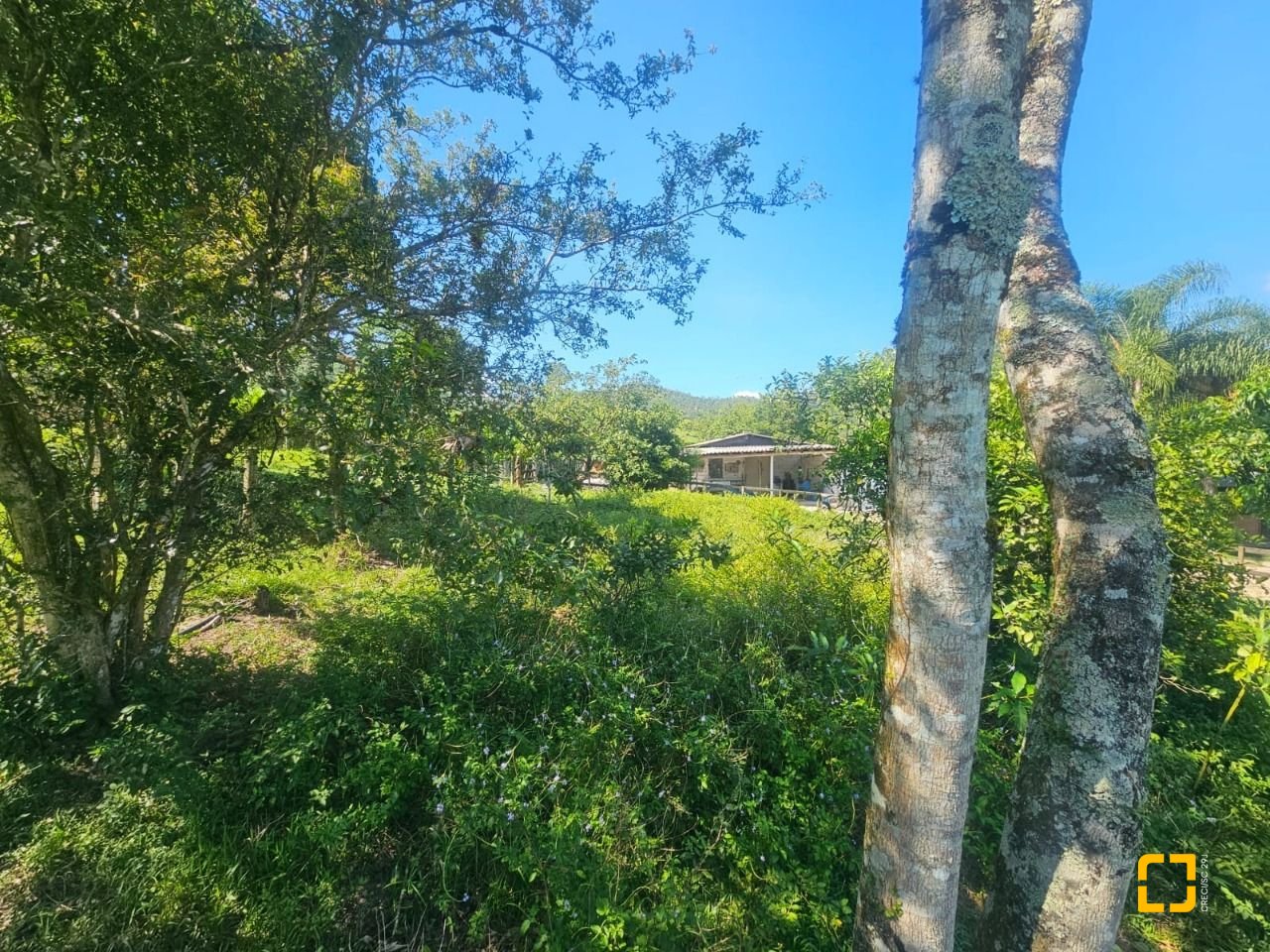 Sítio com 3699m², 2 quartos, no bairro Fazenda em Biguaçu