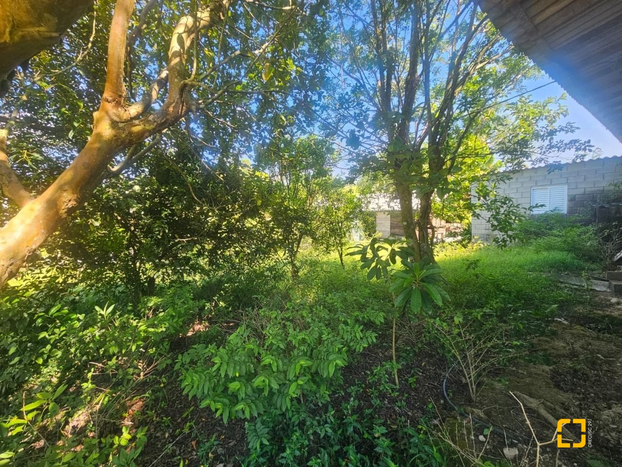 Sítio com 3699m², 2 quartos, no bairro Fazenda em Biguaçu