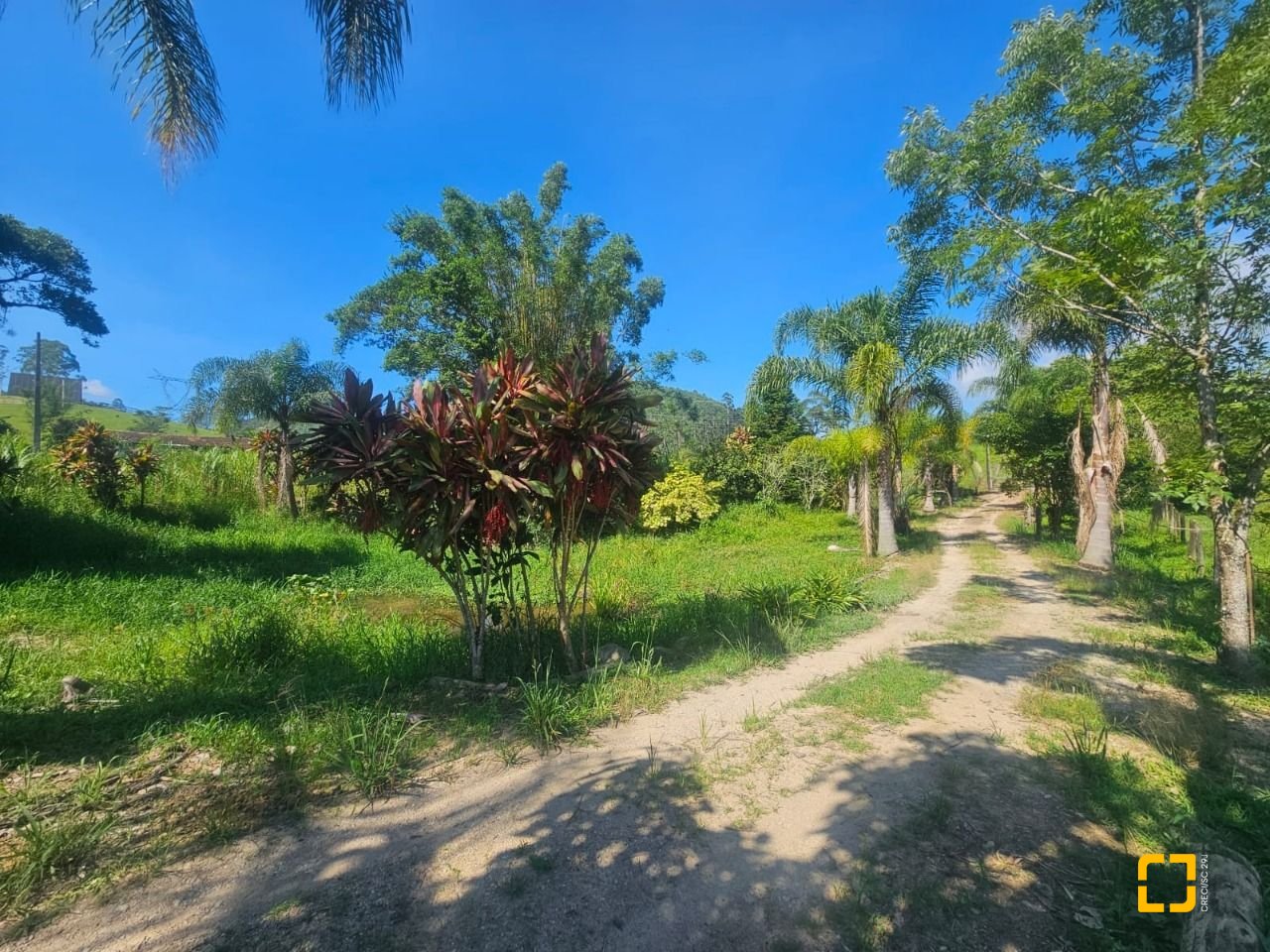 Sítio com 3699m², 2 quartos, no bairro Fazenda em Biguaçu