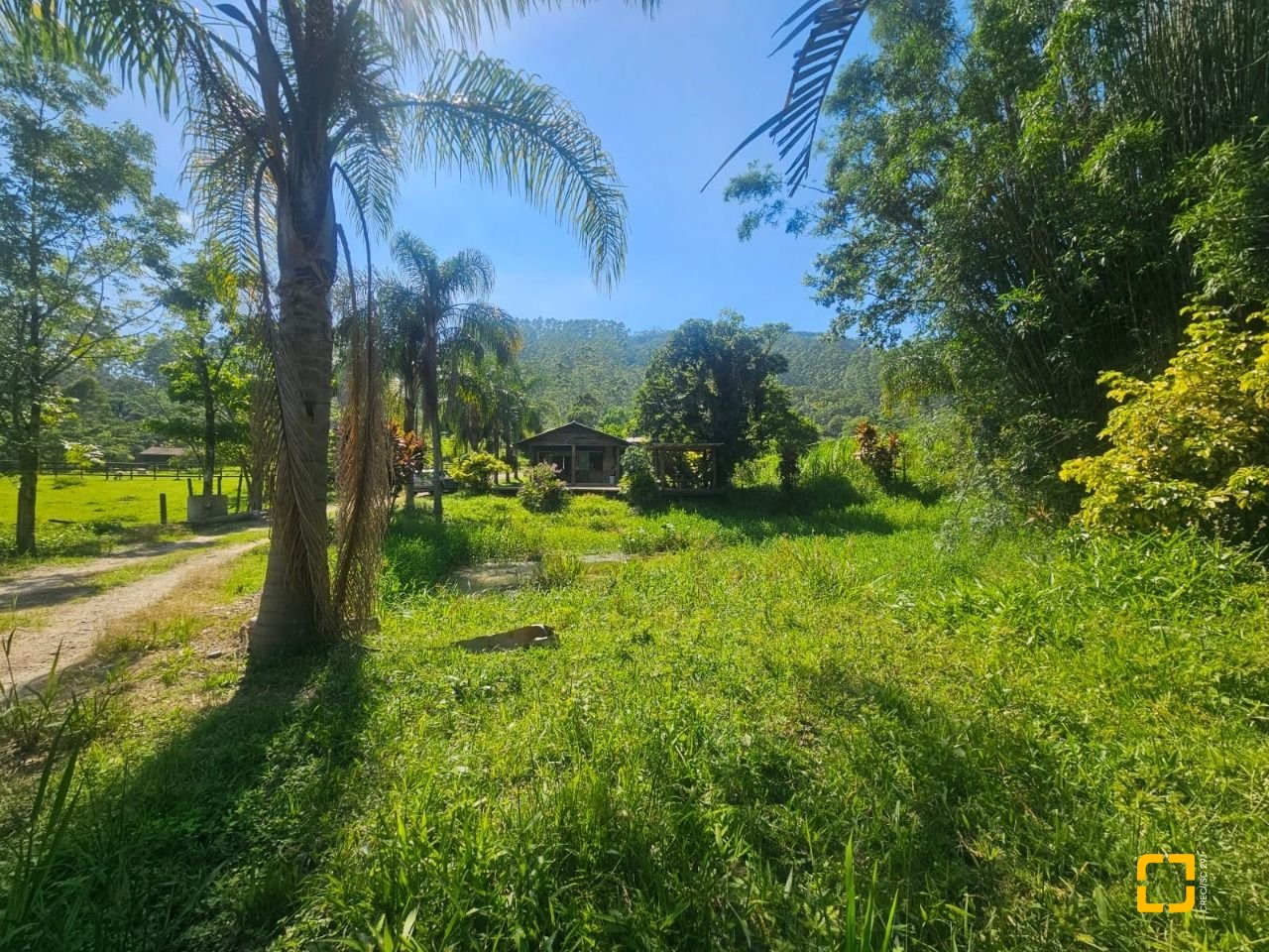 Sítio com 3699m², 2 quartos, no bairro Fazenda em Biguaçu