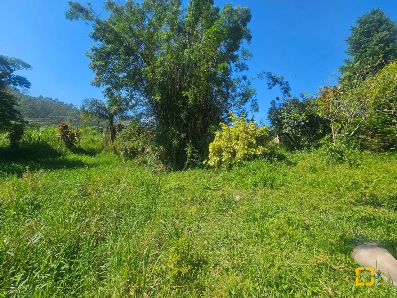 Sítio com 3699m², 2 quartos, no bairro Fazenda em Biguaçu