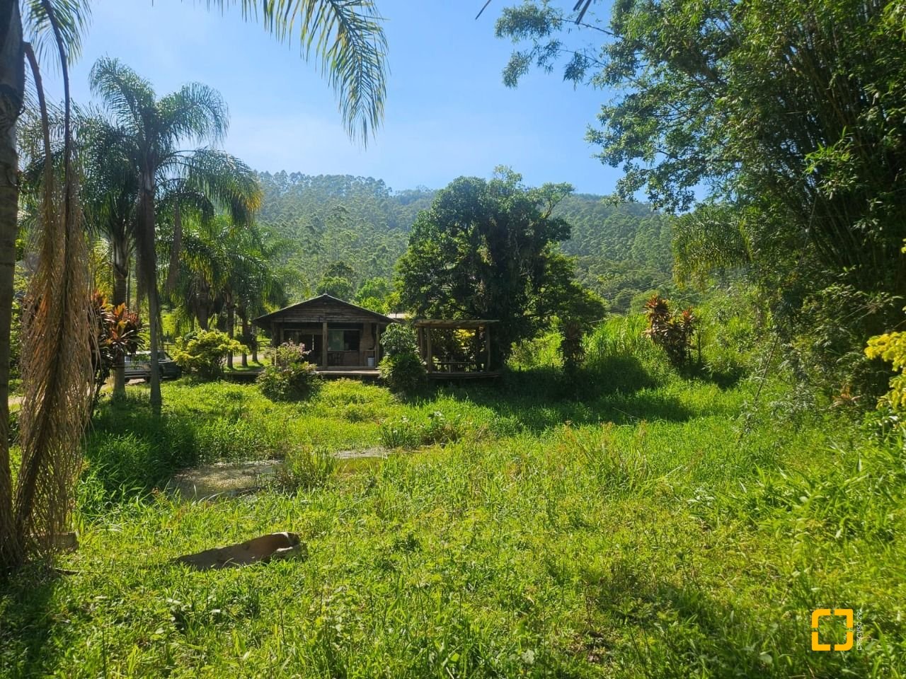 Sítio com 3699m², 2 quartos, no bairro Fazenda em Biguaçu