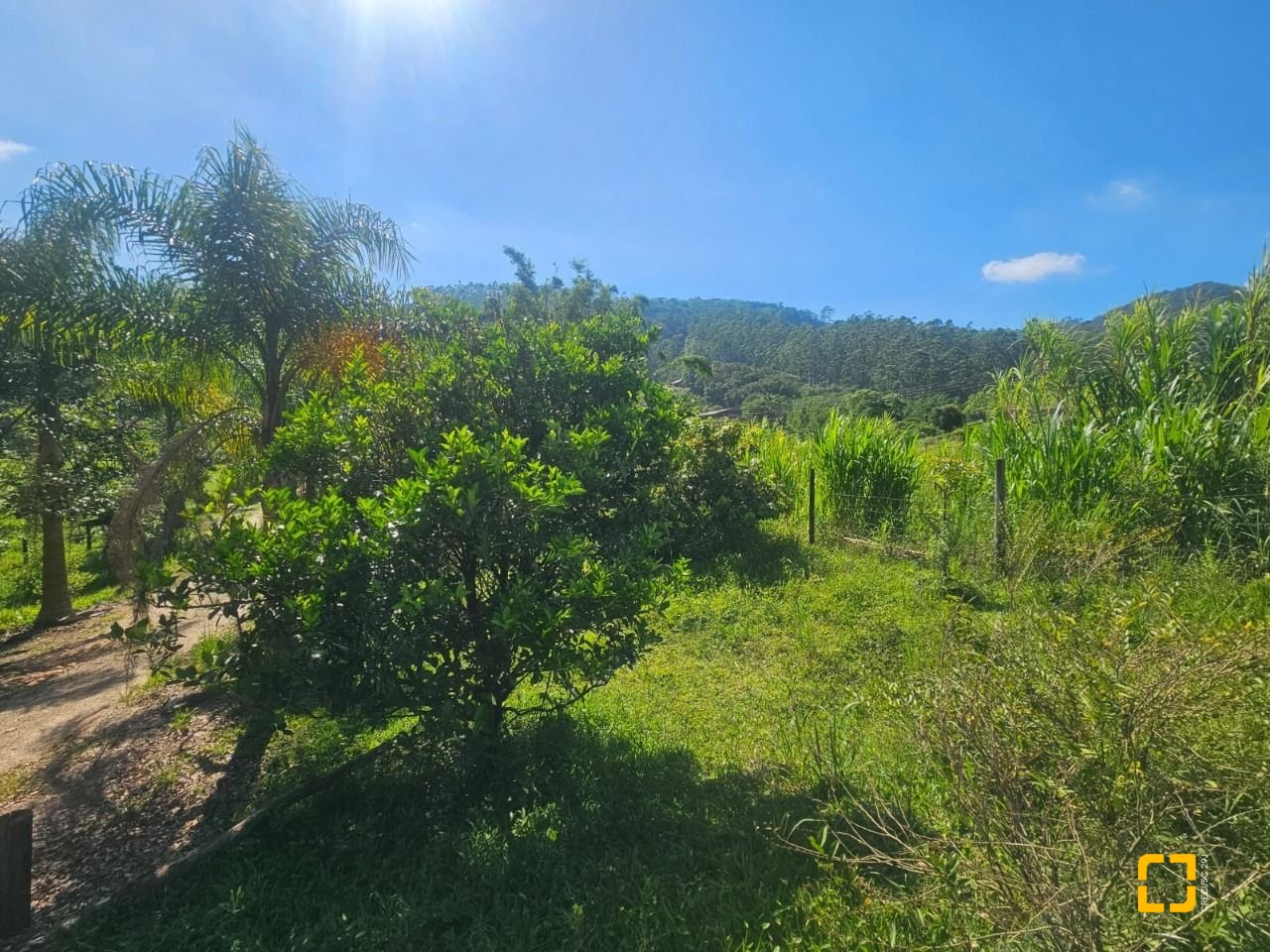 Sítio com 3699m², 2 quartos, no bairro Fazenda em Biguaçu
