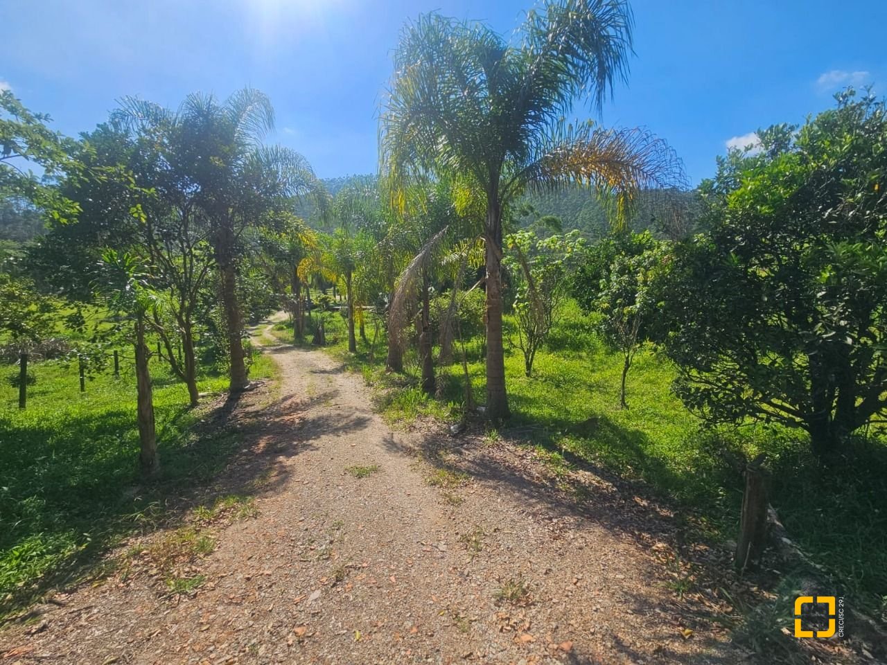 Sítio com 3699m², 2 quartos, no bairro Fazenda em Biguaçu