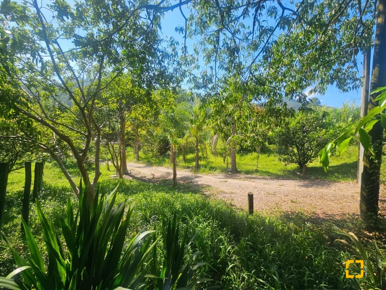 Sítio com 3699m², 2 quartos, no bairro Fazenda em Biguaçu
