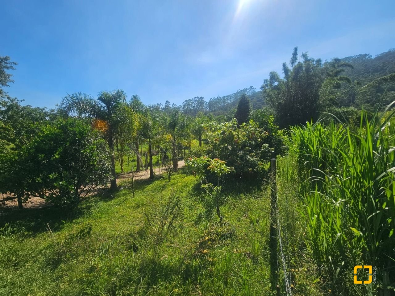 Sítio com 3699m², 2 quartos, no bairro Fazenda em Biguaçu
