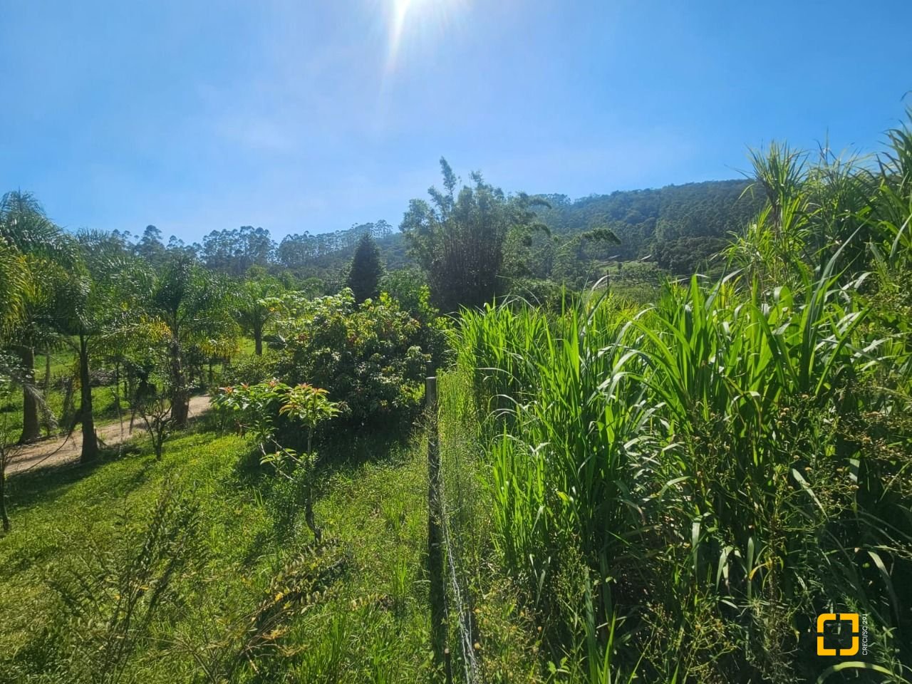 Sítio com 3699m², 2 quartos, no bairro Fazenda em Biguaçu