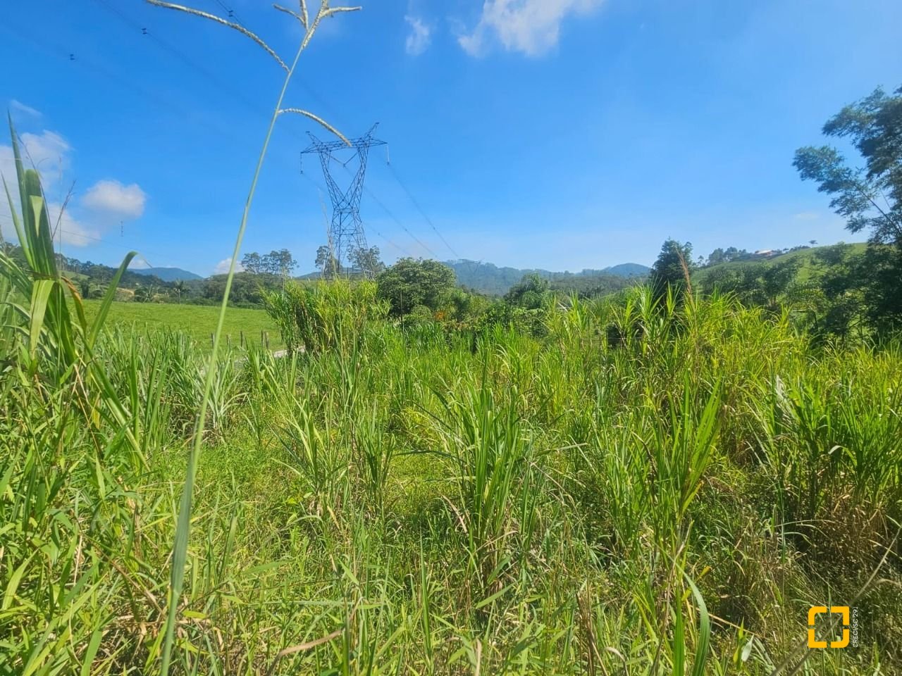 Sítio com 3699m², 2 quartos, no bairro Fazenda em Biguaçu