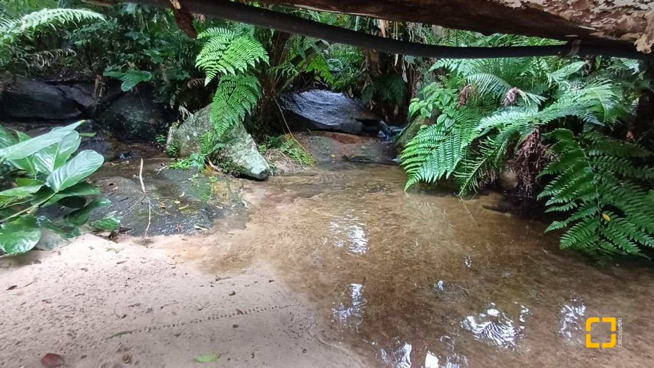 Sítio com 850m², 6 quartos, 3 garagens, no bairro Barra da Lagoa em Florianópolis