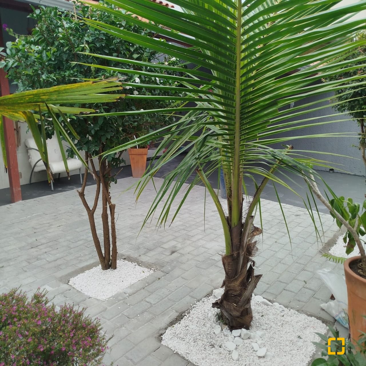 Casa com 51m², 2 quartos, 1 garagem, no bairro São João do Rio Vermelho em Florianópolis