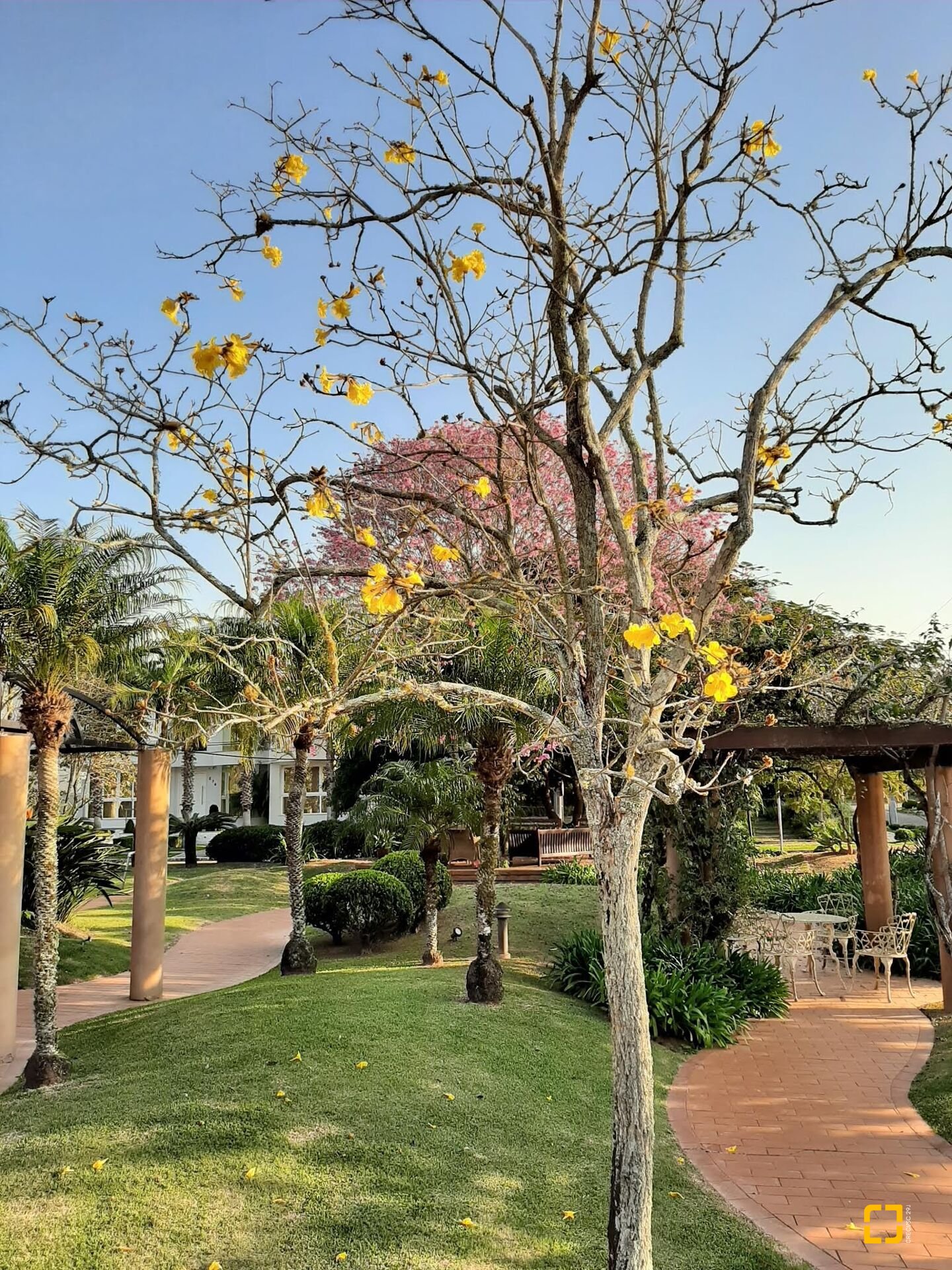 Casa com 600m², 10 quartos (sendo 5 suítes), 6 garagens, no bairro Jurerê em Florianópolis