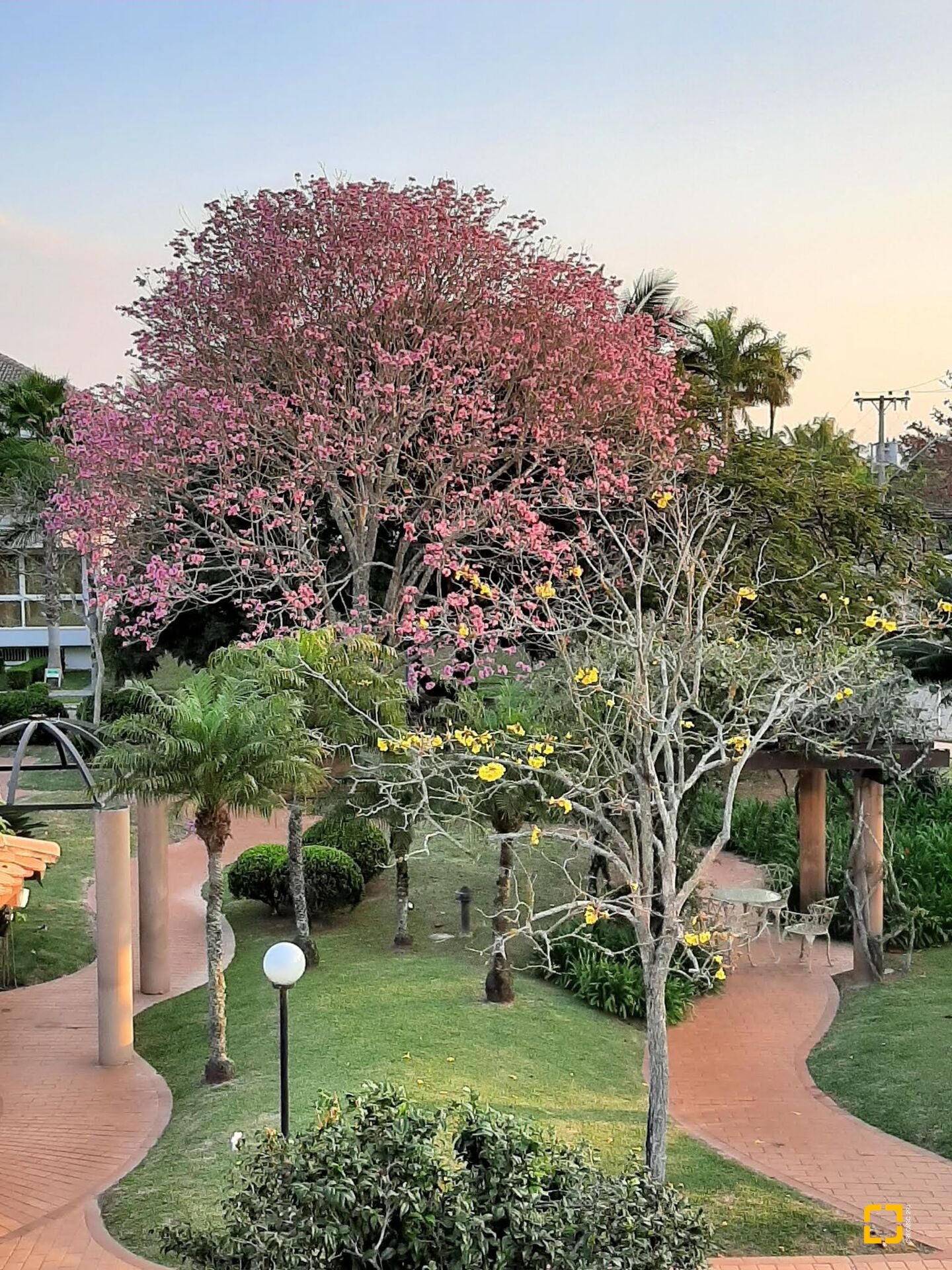Casa com 600m², 10 quartos (sendo 5 suítes), 6 garagens, no bairro Jurerê em Florianópolis