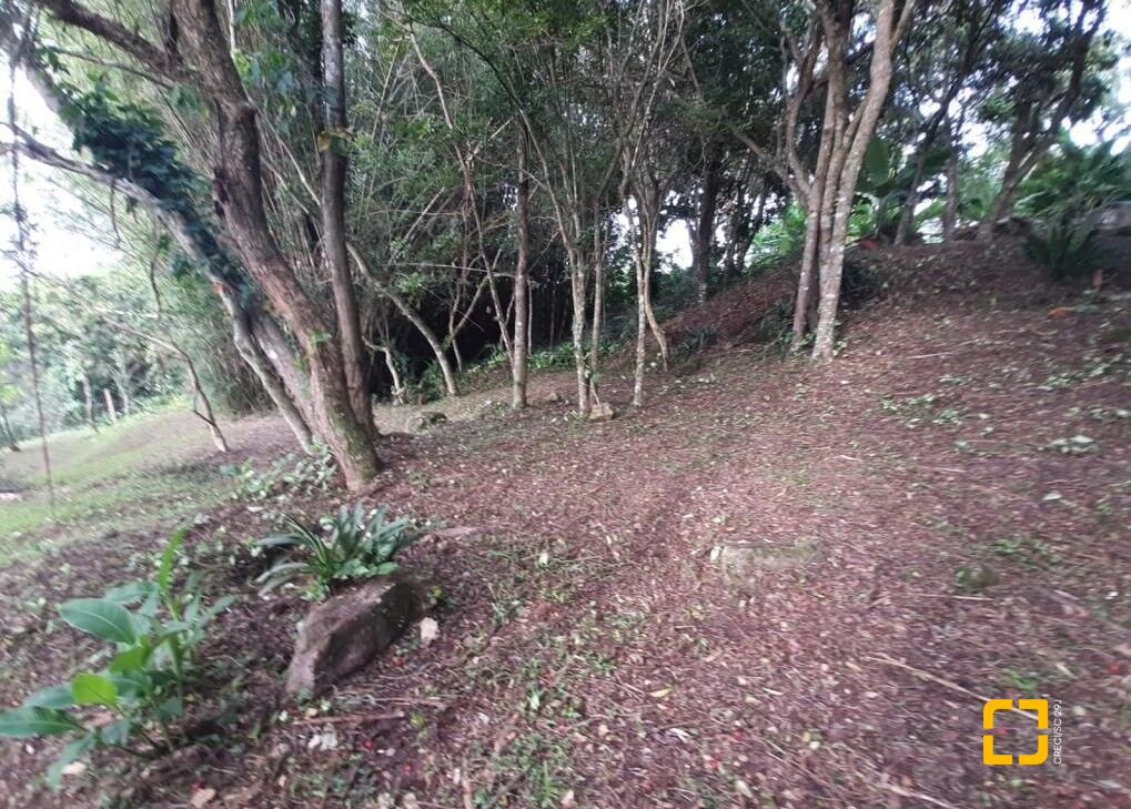 Hotel com 213m², 6 quartos (sendo 1 suíte), no bairro Jurerê Internacional em Florianópolis