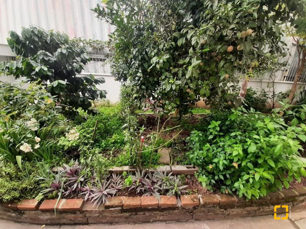 Apartamento com 50m², 2 quartos, no bairro Kobrasol II em São José