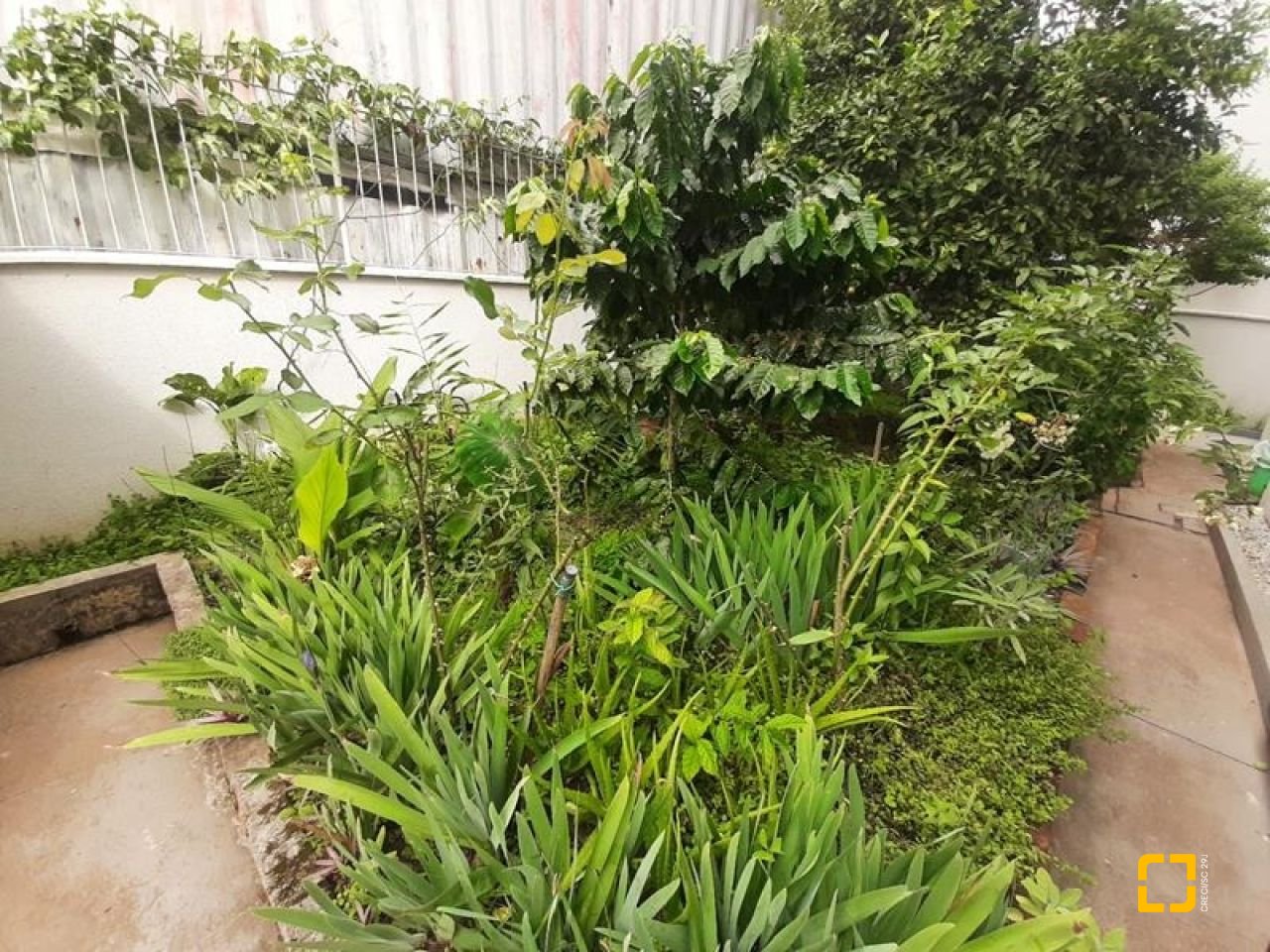 Apartamento com 50m², 2 quartos, no bairro Kobrasol II em São José