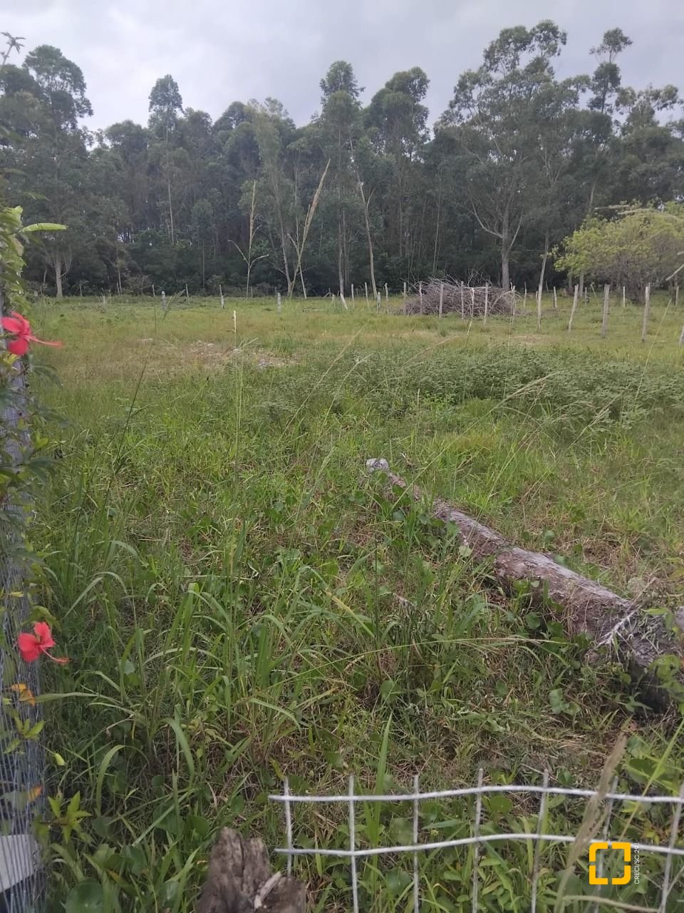 Terreno com 364m², no bairro São João do Rio Vermelho em Florianópolis