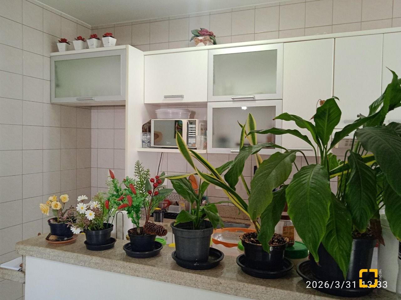 Apartamento com 55m², 2 quartos, 1 garagem, no bairro Campinas em São José