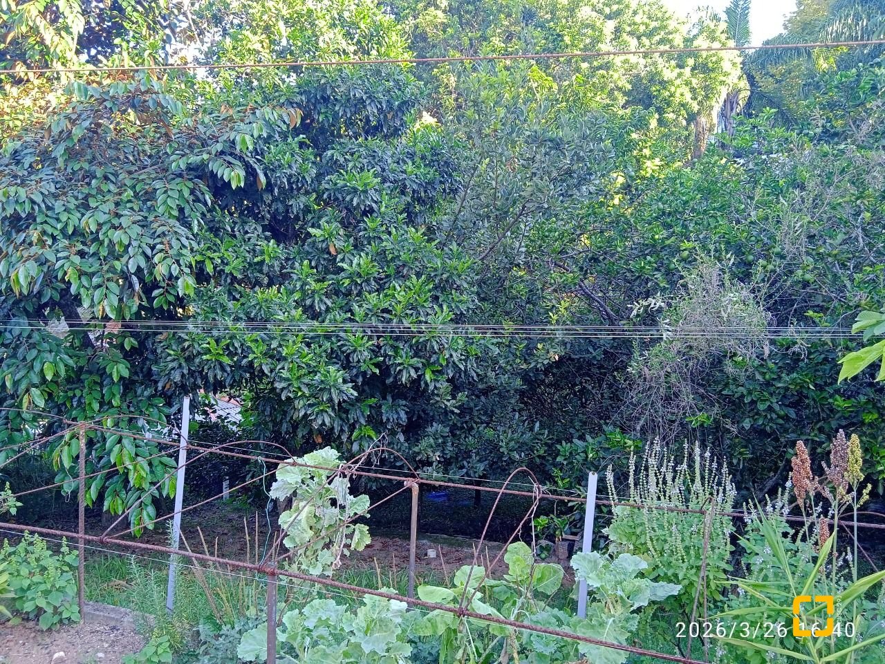Casa de Condomínio com 301m², 4 quartos (sendo 2 suítes), 2 garagens, no bairro Bosque das Mansões em São José