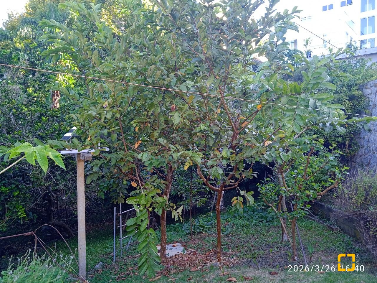 Casa de Condomínio com 301m², 4 quartos (sendo 2 suítes), 2 garagens, no bairro Bosque das Mansões em São José