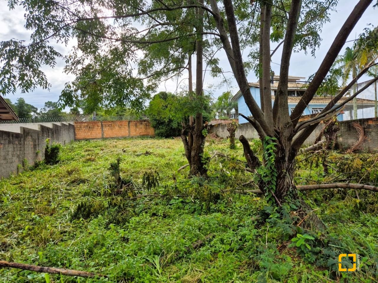 Terreno com 538m², no bairro Campeche em Florianópolis