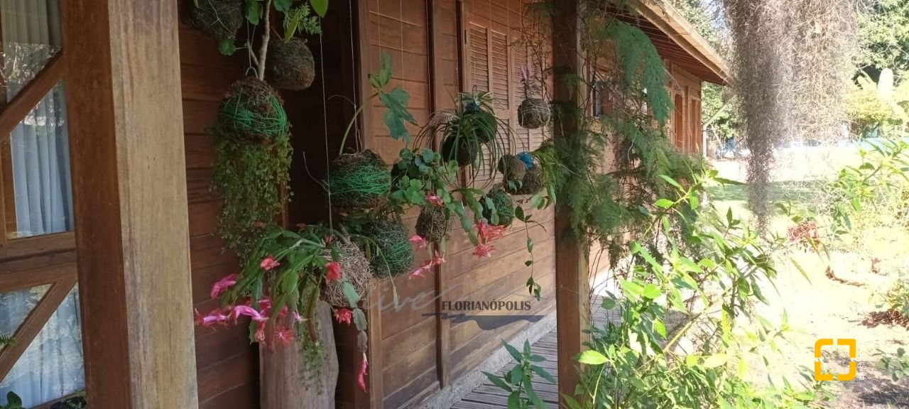 Sítio com 210m², 5 quartos (sendo 2 suítes), 10 garagens, no bairro Ratones em Florianópolis