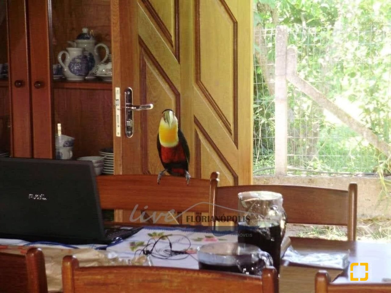 Sítio com 210m², 5 quartos (sendo 2 suítes), 10 garagens, no bairro Ratones em Florianópolis