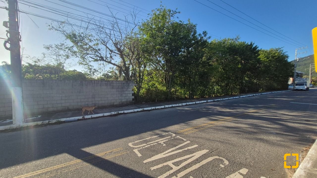 Terreno com 7200m², no bairro Ratones em Florianópolis
