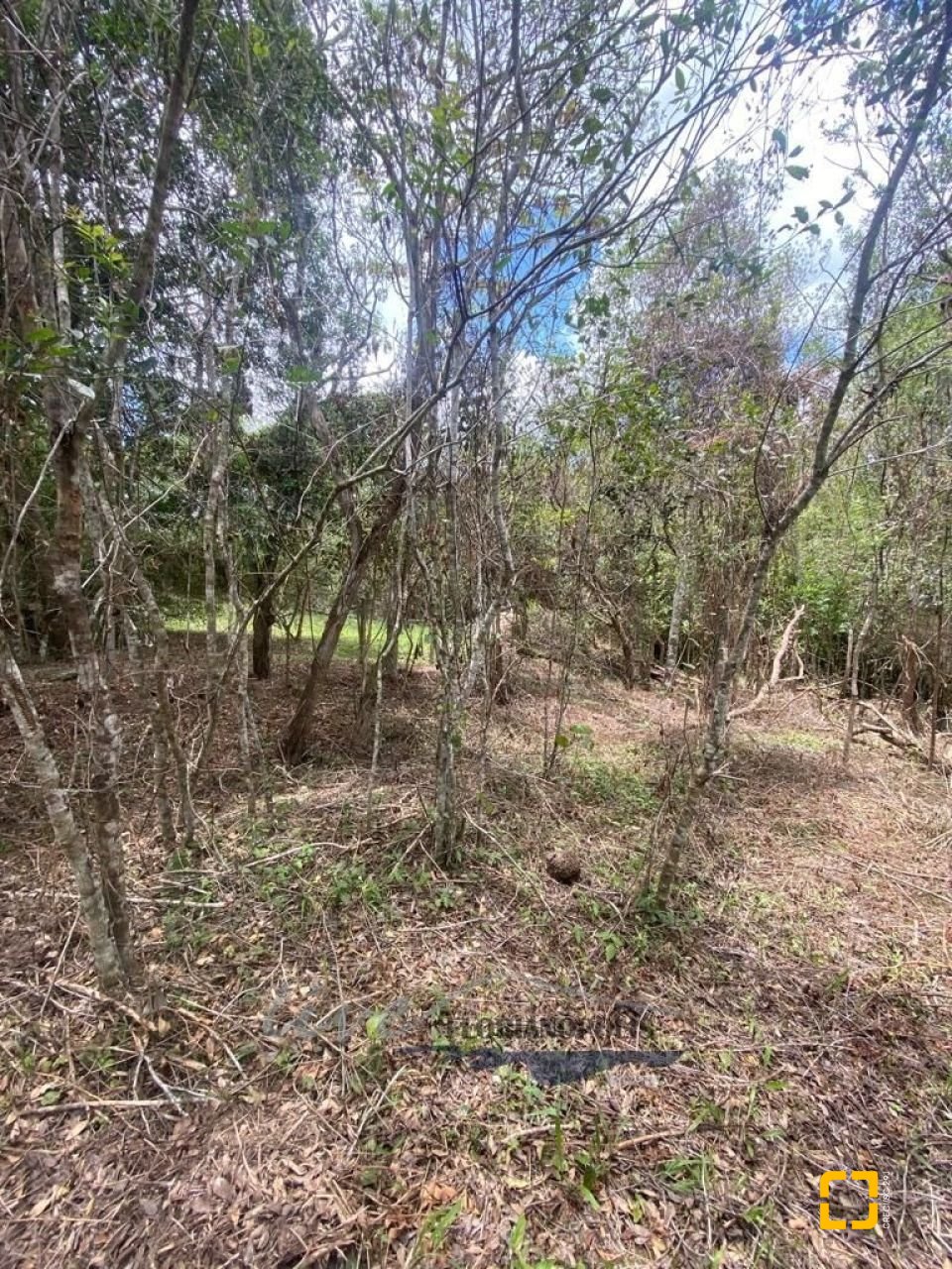 Terreno com 1680m², no bairro Ratones em Florianópolis