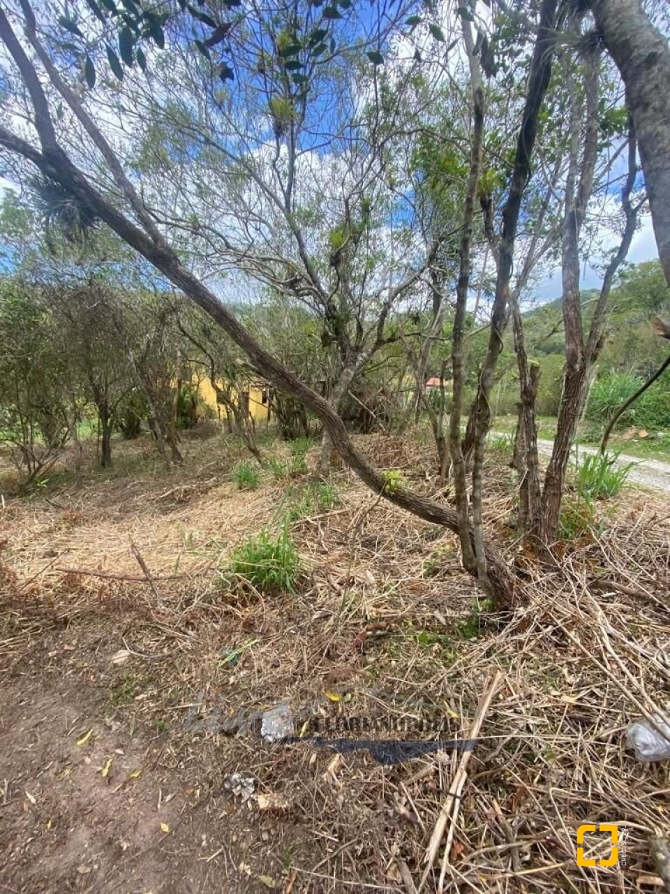Terreno com 1680m², no bairro Ratones em Florianópolis