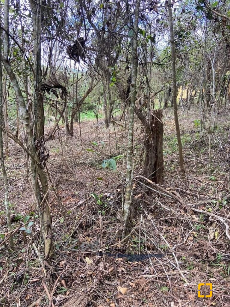 Terreno com 1680m², no bairro Ratones em Florianópolis