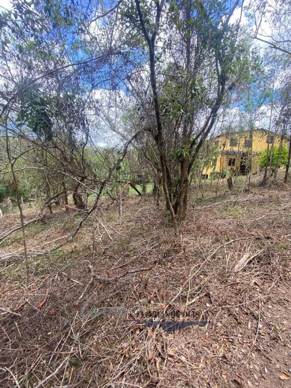 Terreno com 1680m², no bairro Ratones em Florianópolis