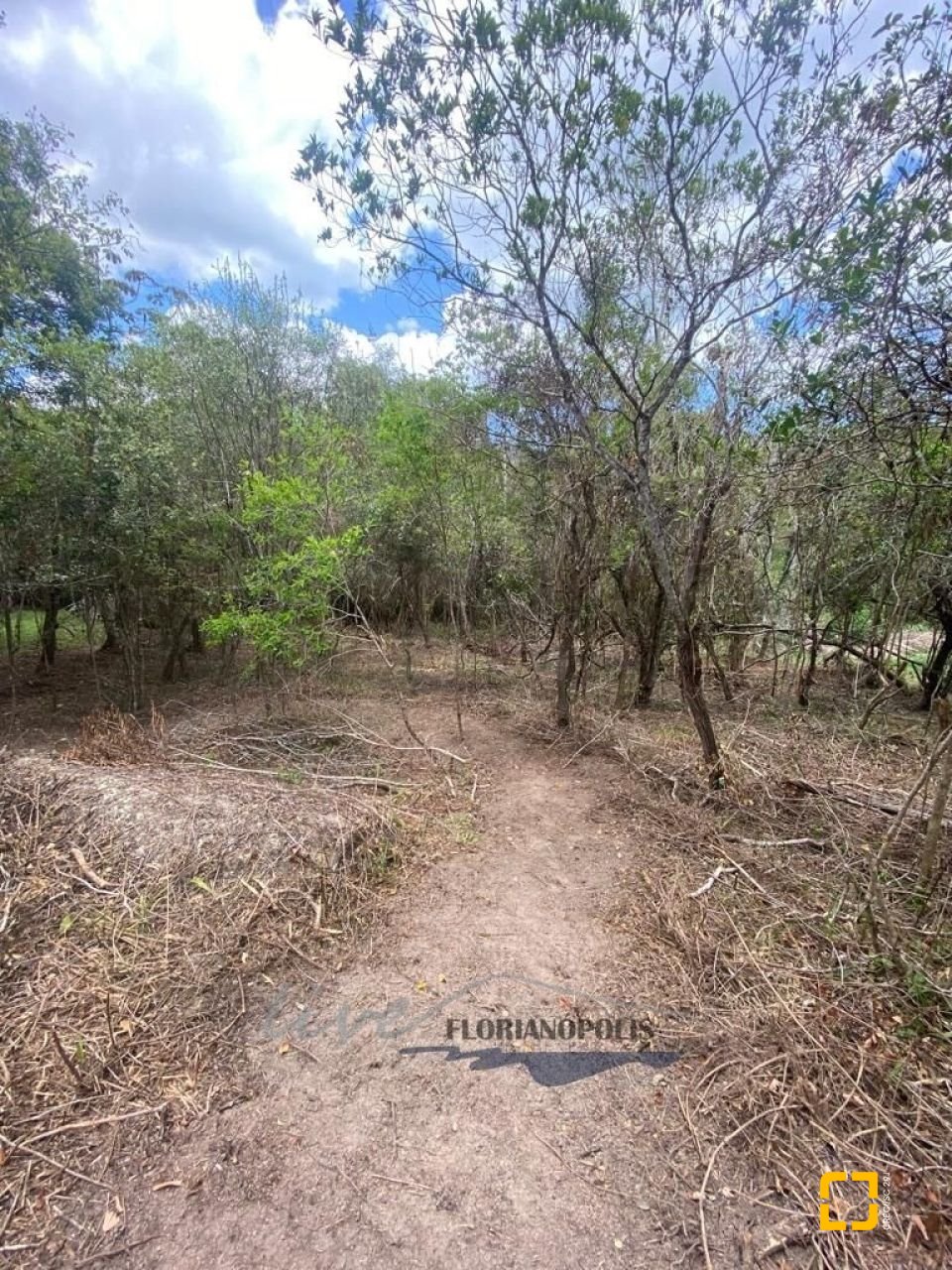 Terreno com 1680m², no bairro Ratones em Florianópolis
