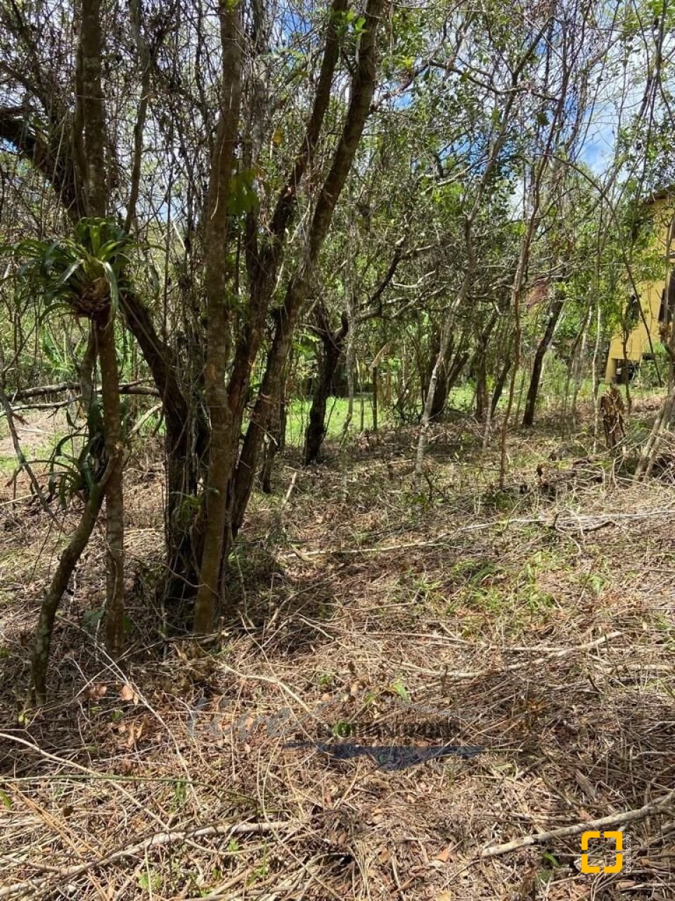 Terreno com 1680m², no bairro Ratones em Florianópolis