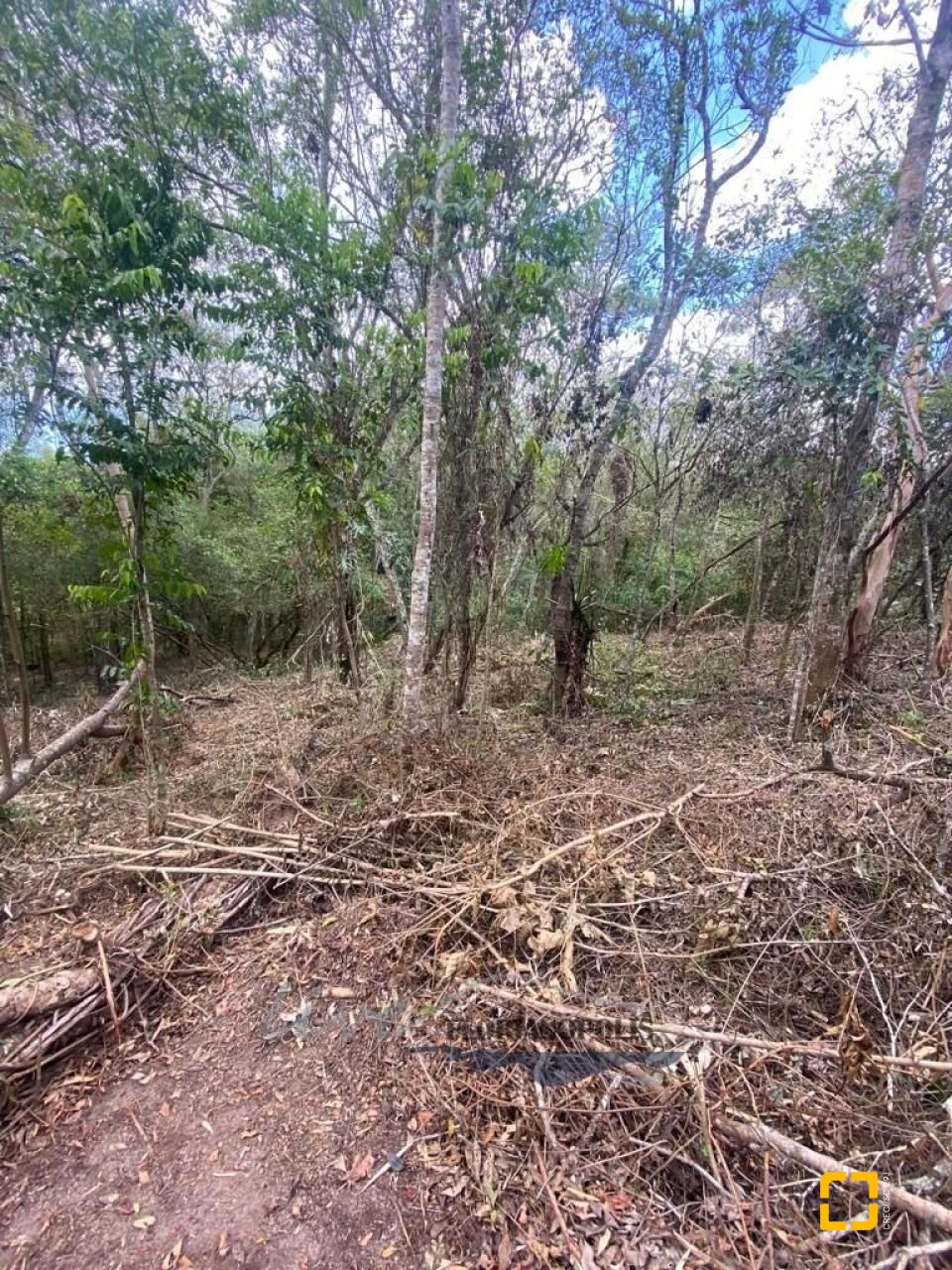 Terreno com 1680m², no bairro Ratones em Florianópolis