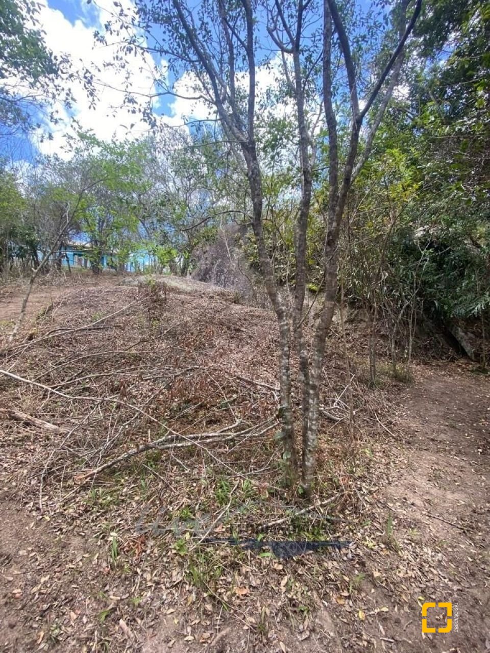 Terreno com 1680m², no bairro Ratones em Florianópolis