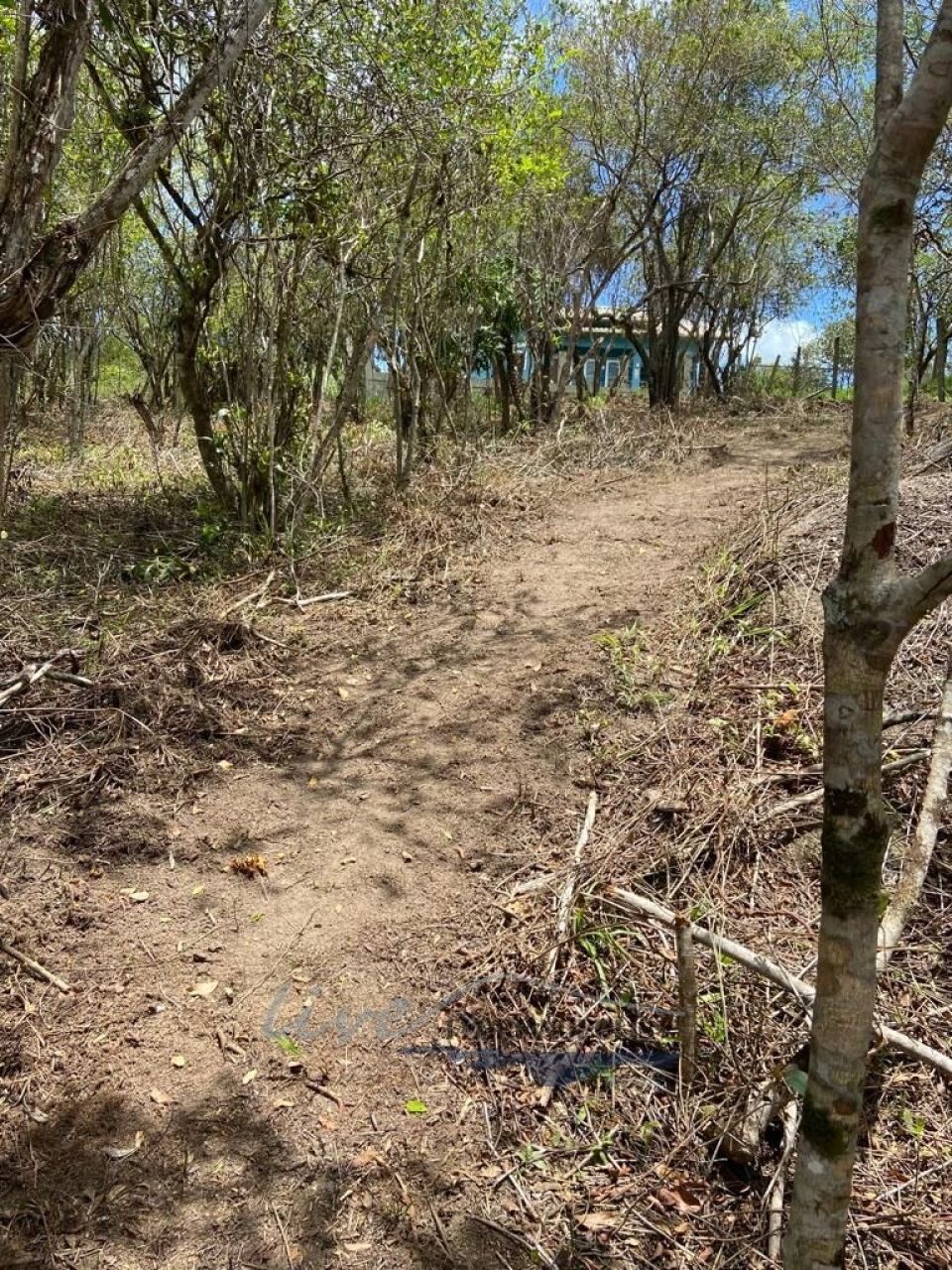 Terreno com 1680m², no bairro Ratones em Florianópolis