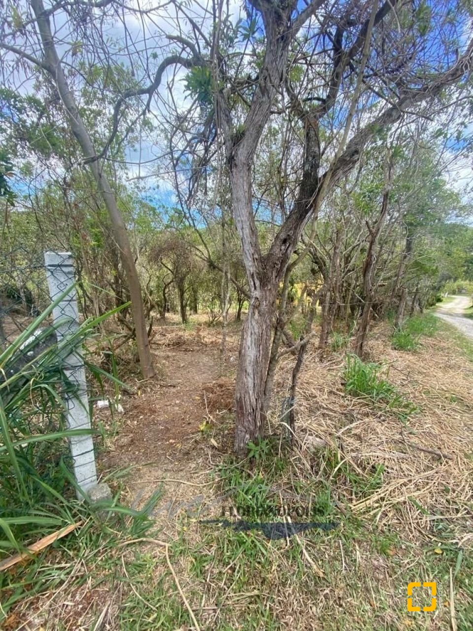 Terreno com 1680m², no bairro Ratones em Florianópolis