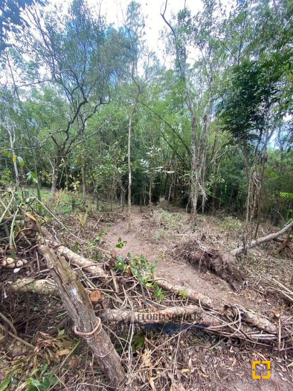 Terreno com 1680m², no bairro Ratones em Florianópolis