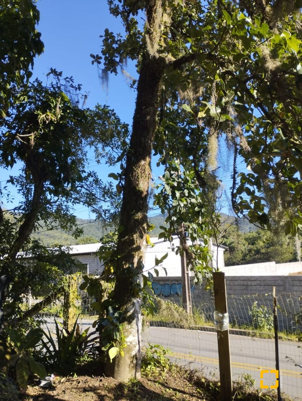 Terreno com 1061m², no bairro Ratones em Florianópolis