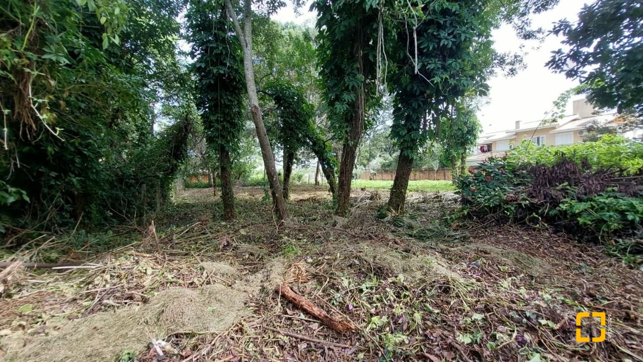 Terreno com 754m², no bairro Campeche em Florianópolis