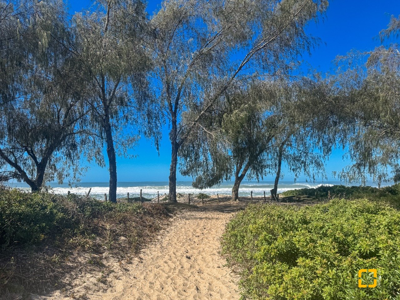 Dunas do Moçambique em Florianópolis