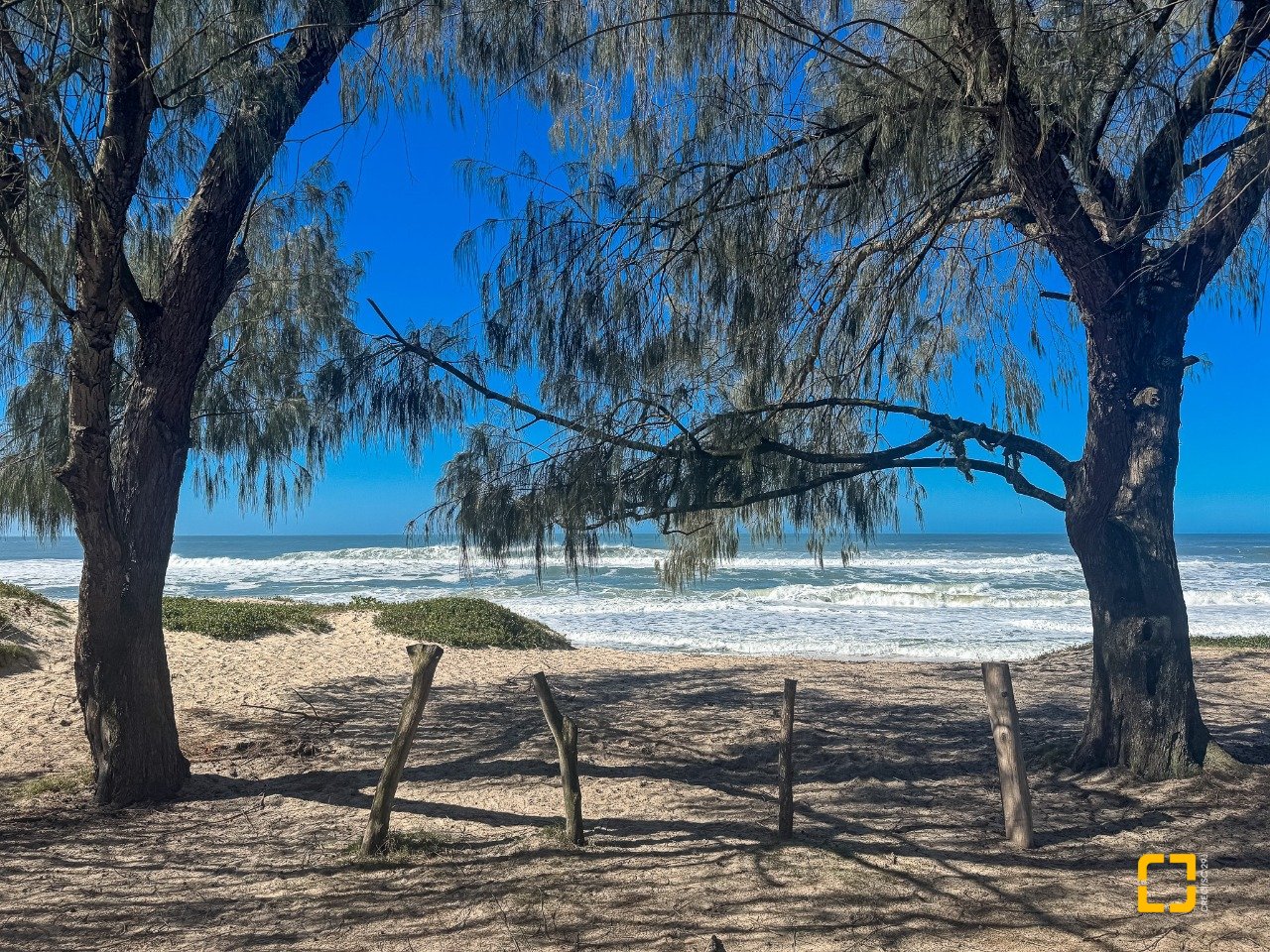 Dunas do Moçambique em Florianópolis